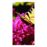 Tiger Swallowtail on Azalea Custom Photo Card