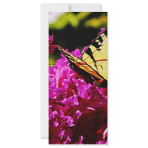 Tiger Swallowtail on Azalea Custom Rack Card