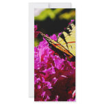 Tiger Swallowtail on Azalea Custom Rack Card