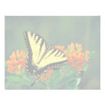 Tiger swallowtail on Butterfly weed Invitations