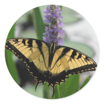 Tiger Swallowtail on Pickerel Sticker