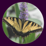 Tiger Swallowtail on Pickerel Sticker