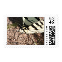 Tiger Swallowtail Stamp