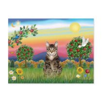 Tiger Tabby Cat Bright Country Postcard