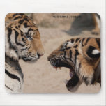 tiger, tigers, thailand, peter, sollner, temple, - party travel