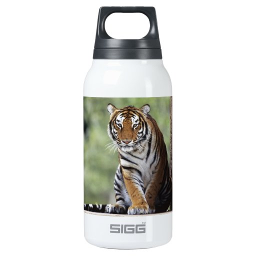 Tiger Thermos Bottle Zazzle