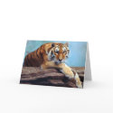 Tiger "Thinking of You" cards