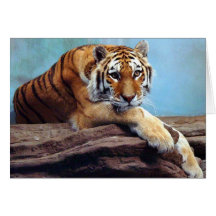 Tiger "Thinking of You" Greeting Card