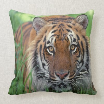 Tiger Throw Pillows