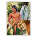 Tiger, Tiger cards
