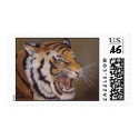 Tiger! Tiger! postage