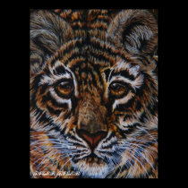 TIGER TIGER posters