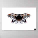 Tiger Tiger posters