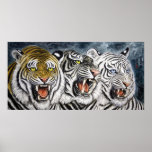 Tiger Trio - Chinese Painting posters