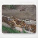 Tiger Triplets mousepads