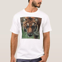 Tiger t-shirts
