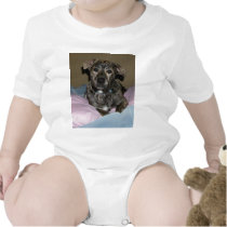 tiger t-shirts