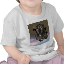 tiger t-shirts