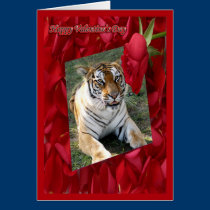 Tiger Valentine Card cards