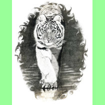Tiger walk T-Shirt by kmullarney Tiger walk T-Shirt