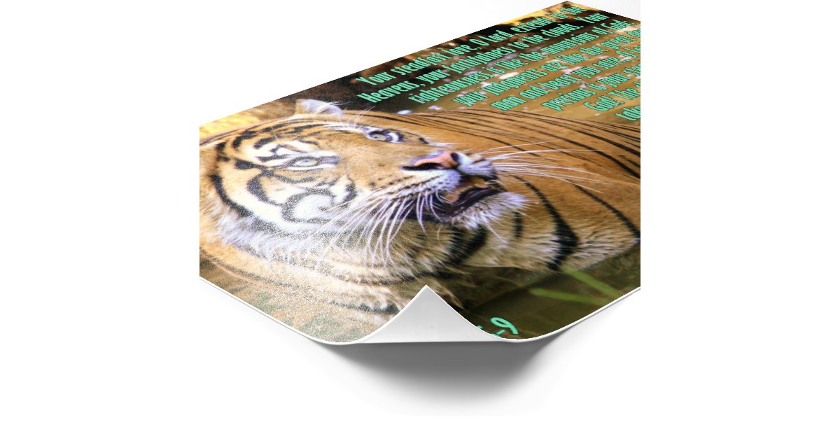 tiger-with-psalm-36-5-9-photo-print-zazzle