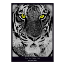 Tiger With Yellow Eyes posters by Fred_Leavitt Tiger With Yellow Eyes posters