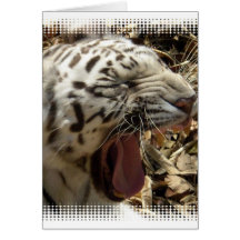 Tiger Yawn Greeting Card