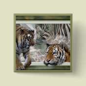 Tiger, Zebra, Giraffe, Lovers Gifts