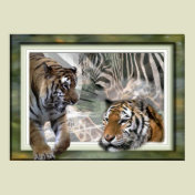 Tiger, Zebra, Giraffe, Lovers Gifts