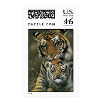 tigeress and cub postage