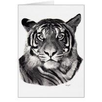 Tigereyes cards
