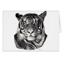 TigerEyes cards