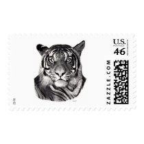 Tigereyes Postage Stamp