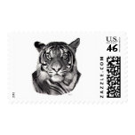 Tigereyes postage