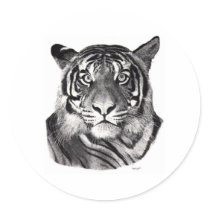 Tigereyes stickers
