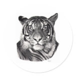 Tigereyes Round Stickers
