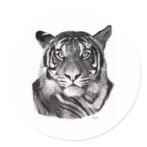 TigerEyes Round Stickers
