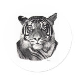 TigerEyes Round Stickers
