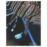 TigerFish flyers