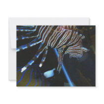 TigerFish Custom Invites