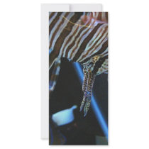 TigerFish Customized Rack Card