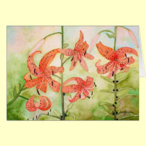 Tigerlilles card by ditayhoff Tigerlilles card