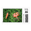 TigerLilly postage