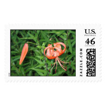 TigerLilly postage