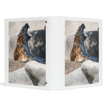 Tigers binders