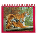 Tigers Wall Calendar