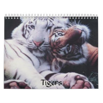 Tigers calendars