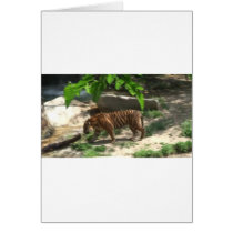 Tigers Cards