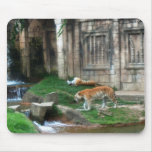 Tiger's Den Mousepads