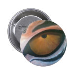 tigers eye button